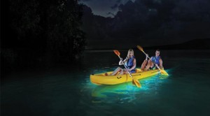 bio-bay-night-kayaking